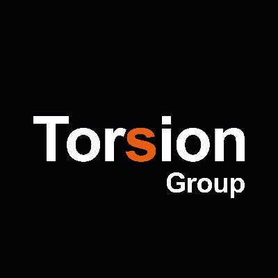 Torsion Group logo